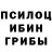Псилоцибиновые грибы мухоморы Christopher Buhfjdrown