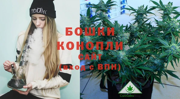 2c-b Богородицк
