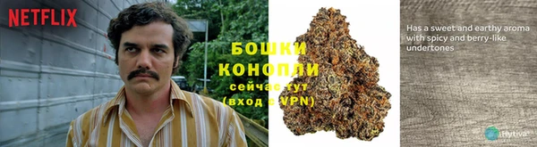 наркотики Бородино